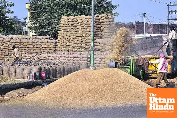 Millers refuse to stock paddy citing lack of trust