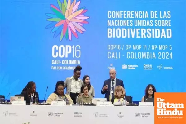 COP16 ends with historic recognition of indigenous, Afro-descendant communities