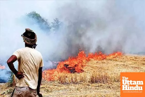 Hearing on stubble burning held in SC today