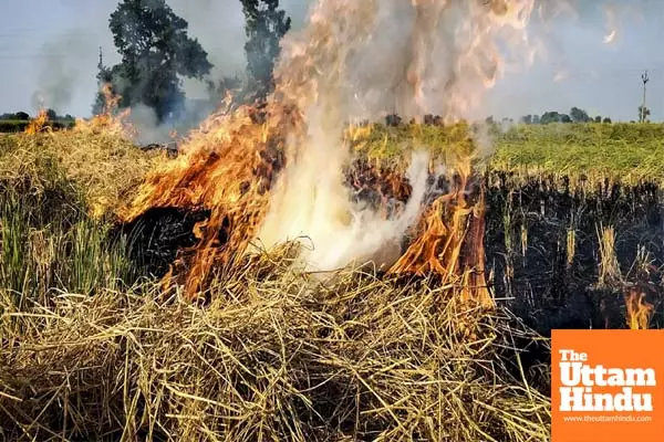 Centre doubles penalty for stubble burning amid rising air pollution in Delhi-NCR