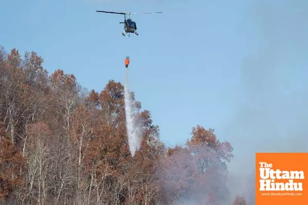 Wildfires burn from coast to coast in US