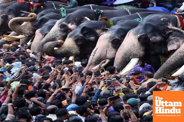 If jumbo guidelines are implemented, temple festivals will not happen as before: Kerala Minister