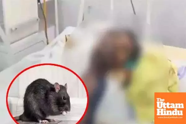 Dead mans eye goes missing in Patna hospital, doctors blame rats