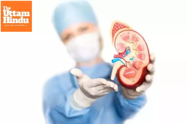 Japanese researchers find diabetes drugs’ potential to protect kidneys