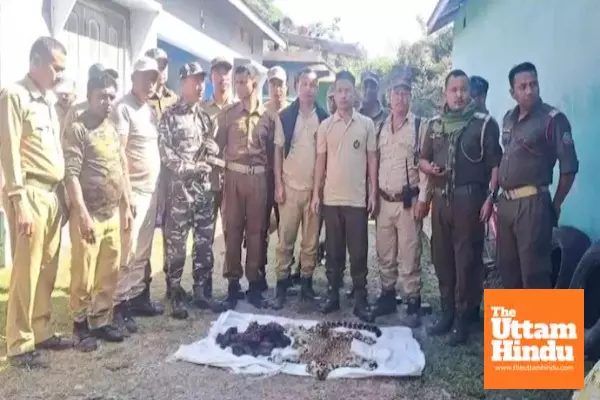 Poachers’ Deadly Haul: Leopard Skin and Flesh Taken in Major Bust