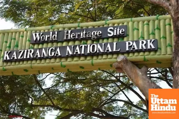 Four-day International Tourism Mart in Kaziranga from tomorrow