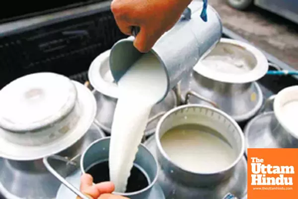 Indias milk production rises 4 pc to cross 239 million tonnes in 2023-24