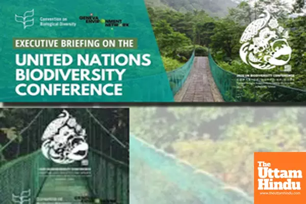 UN Biodiversity Conference to reconvene in February in Rome