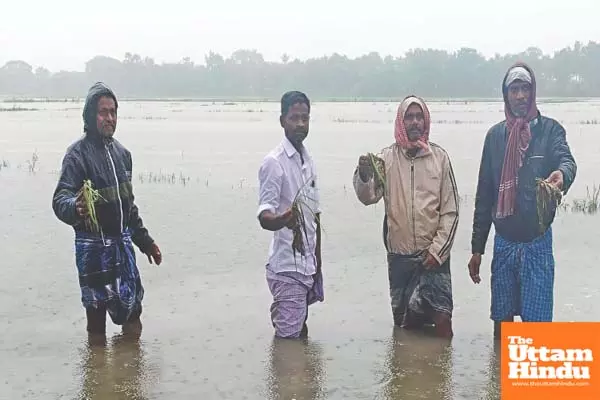 Heavy rain in Delta districts of TN: People warned against entering water bodies