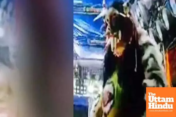 Shocking Incident: Actor Turns Monster on Stage, Cuts Open Live Pig and Eats Its Flesh