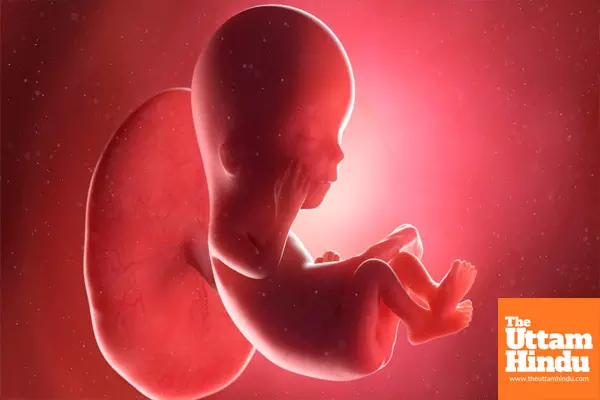 Unbelievable Find at Airport: Fetus in Cargo Shipment Found During Scanning Leaves Authorities Stunned!