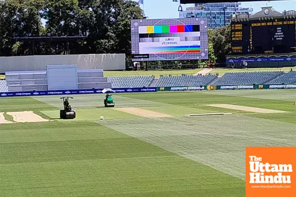 Australia’s secret weapon: “6mm Grass Plan” unveiled ahead of India clash in Adelaide Test!