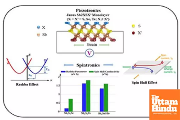 INST researchers find promising materials for next-gen electronic devices