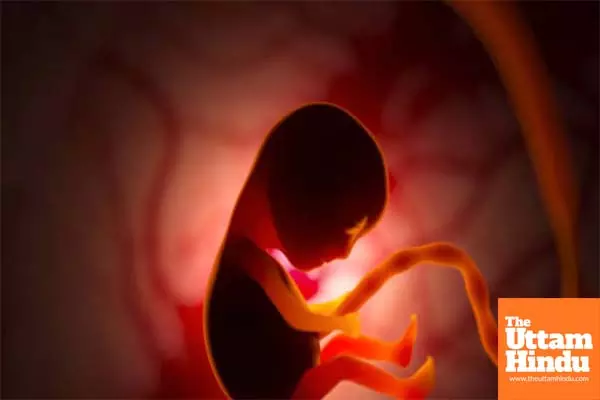 Fetus Found in Toilet Pipe: A Gruesome Discovery That Shook the Community