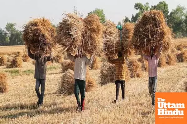 Centre’s millet scheme is boosting farmers’ incomes: Minister