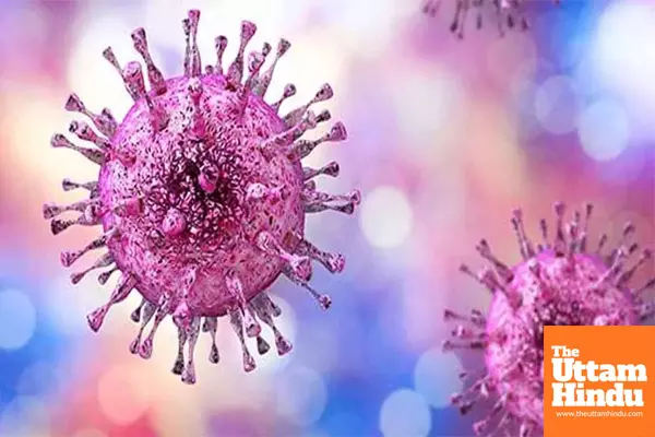 1 person globally acquires new genital herpes infection every second: WHO