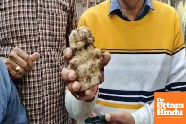 Stunning Discovery at Reopened Sambhal Shiva Temple: Ancient Idols of Parvati, Ganesha, and Kartikeya Unearthed After 46 Years!