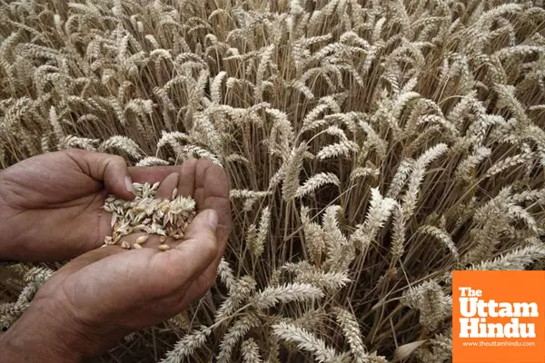 Arrival of kharif crops, robust outlook for rabi augur well for food inflation outlook