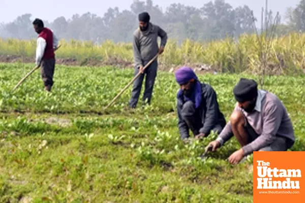 Annual fund flow to farm sector jumped nearly 6-fold in 10 years