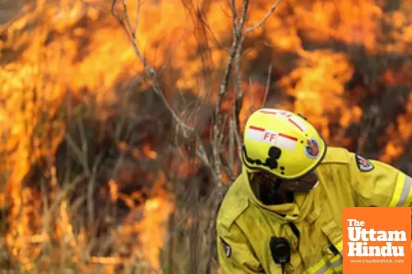 Australia prepares for catastrophic bushfire over Christmas period