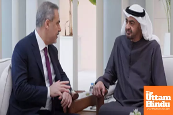 UAE President, Turkish FM discuss ties, regional stability