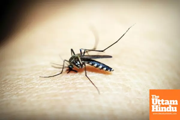 Malaria declines by 80% in India, Country aims for Elimination by 2030