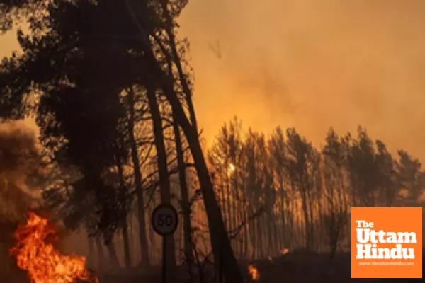 Wildfire destroys 1,400 hectares of national park in Argentina