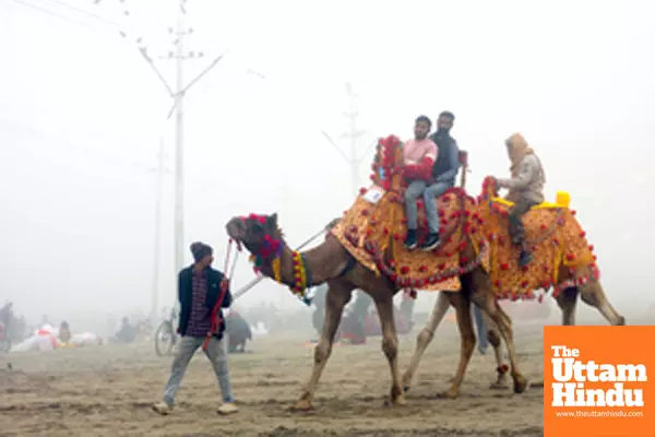 Prayagraj: Tourists take a camel ride at the banks of the Sangam