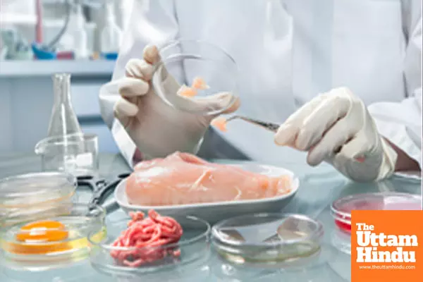 APAC region sees rise in demand for lab-grown meat: Report