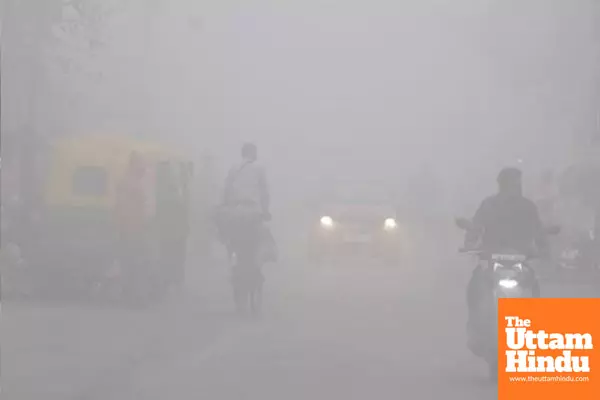 Punjab and Haryana shiver as cold wave grips plains: yellow alerts for fog and icy conditions issued