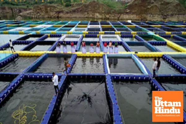 Chhattisgarh women use shut stone quarries for fish farming