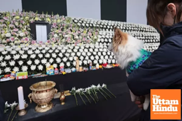 All bodies of Jeju Air crash victims set to be handed over to families, relatives