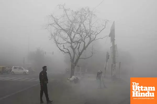 Cold Wave Grips North India, 25 Dead in 48 Hours: Dense Fog, Snowfall Disrupt Life