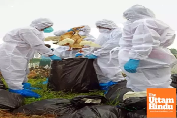 First human bird flu death in US reported