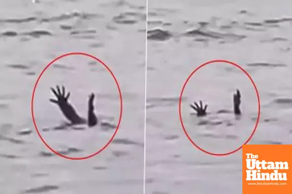 Viral Video Sparks Debate on Claims of Crocodiles Mimicking Drowning to Hunt Humans