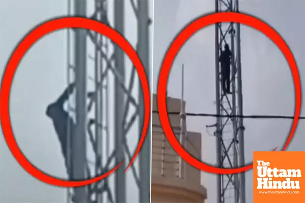 High on Love and Liquor:  Intoxicated Lover Scales Mobile Tower for Girlfriend Meet-Up