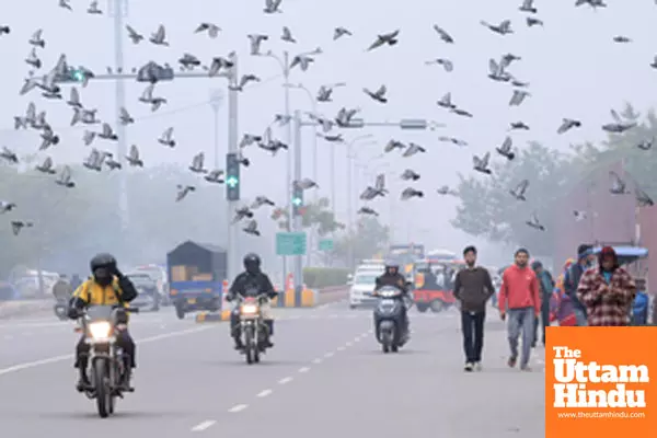 Jaipur: Vehicles move through dense fog on a cold winter morning