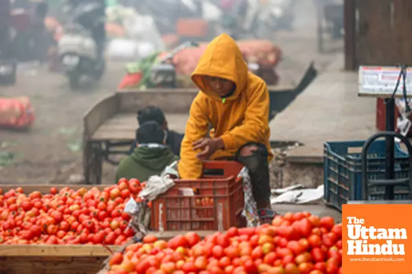 New Delhi: A boy selling vegetables at a mandi amid dense fog on a chilly winter morning