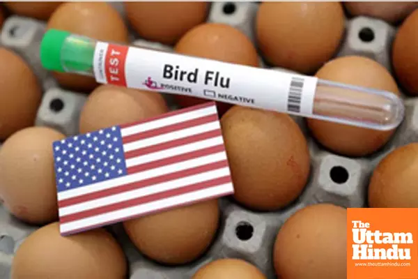 Human deaths from bird flu concerning; monitoring & genome sequencing key: Experts