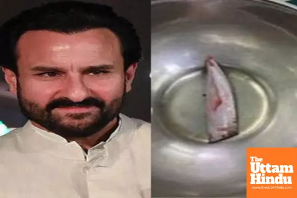 Saif Ali Khan stabbing case: Mystery of the broken knife continues