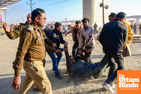 Prayagraj: Police personnel carry a man to an ambulance following a fire at a camp during the Maha Kumbh Mela 2025