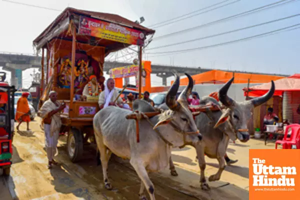 Prayagraj: Devotees take part in a traditional procession on a decorated bullock cart during the Maha Kumbh Mela 2025