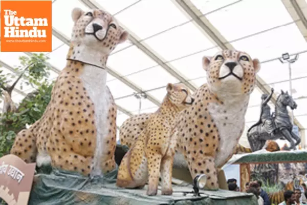 MP: Tableau for Republic Day to showcase success of Cheetah project