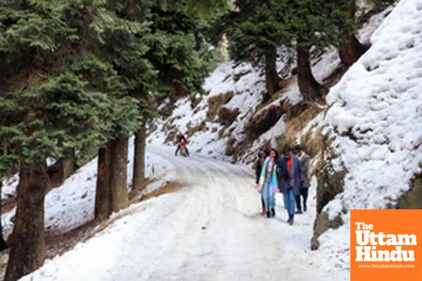 Baramulla: A group of tourists walk on a snow-covered road