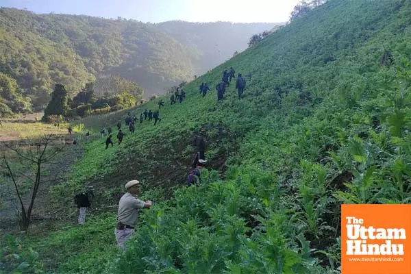 Security forces destroy 35 acres of illegal poppy cultivation in Manipur