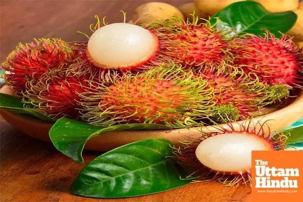 Packed with Vitamin C and Fiber: Why Rambutan is the Ultimate Health Boosting Snack