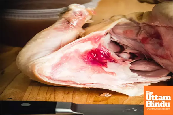 Pink cooked chicken explained: it’s not blood, here’s why