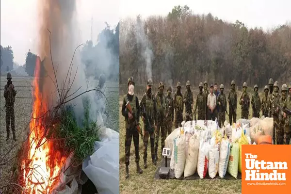 Rs 6 crore worth of drugs seized by Assam rifles, Tripura police