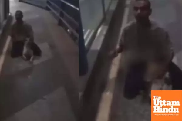 Cruelty Beyond Limits: Dog Sexually Assaulted on Flyover, Video Sparks Outrage