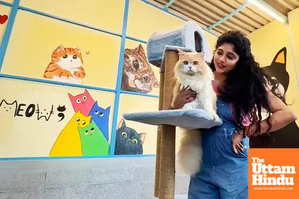 Actress Samyuktha Honrad launches adoption centre for cats